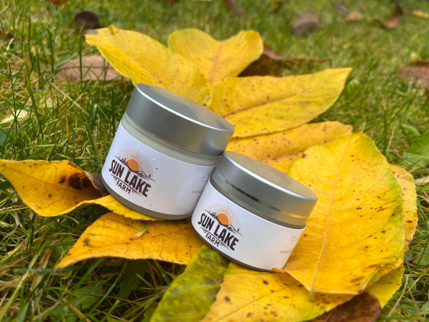 Autumn collection small