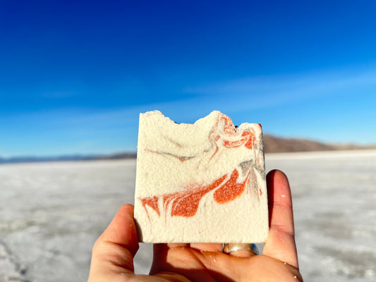 Seasonal - Salt Soap