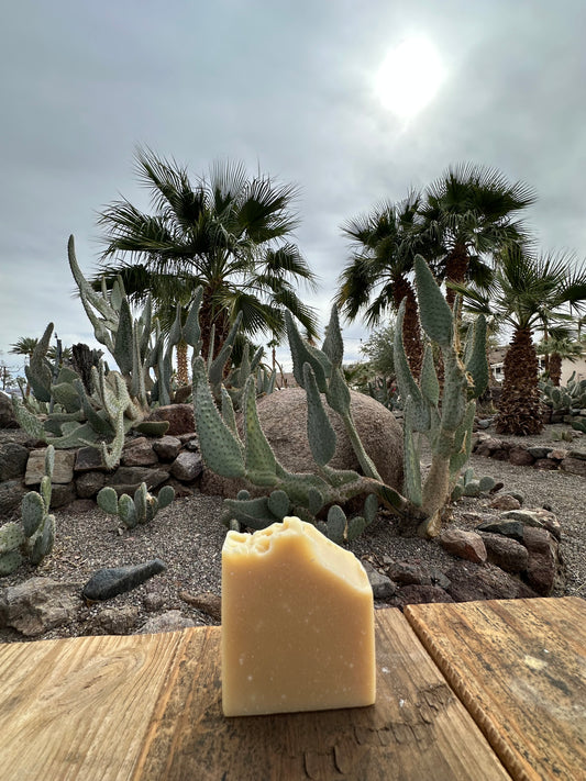 Orange Bliss - Honey Soap